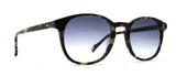 711 XL LTD 12 (sun): Alternate View #1